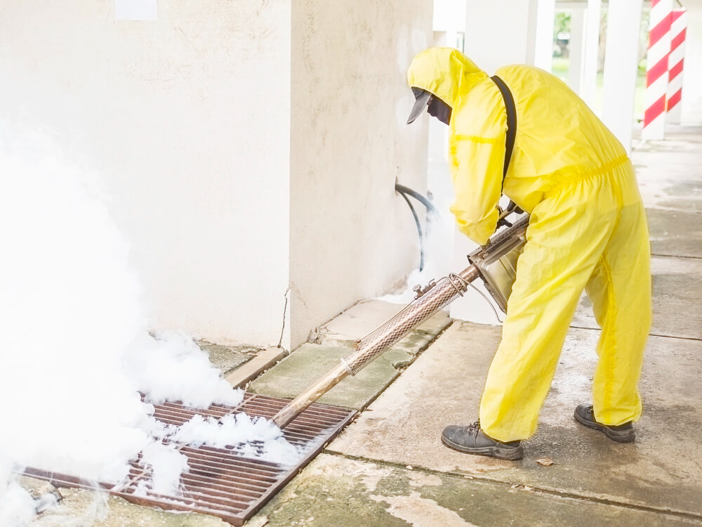 Seasonal Pest Control Tips: Dealing with Pest Challenges in Dubai